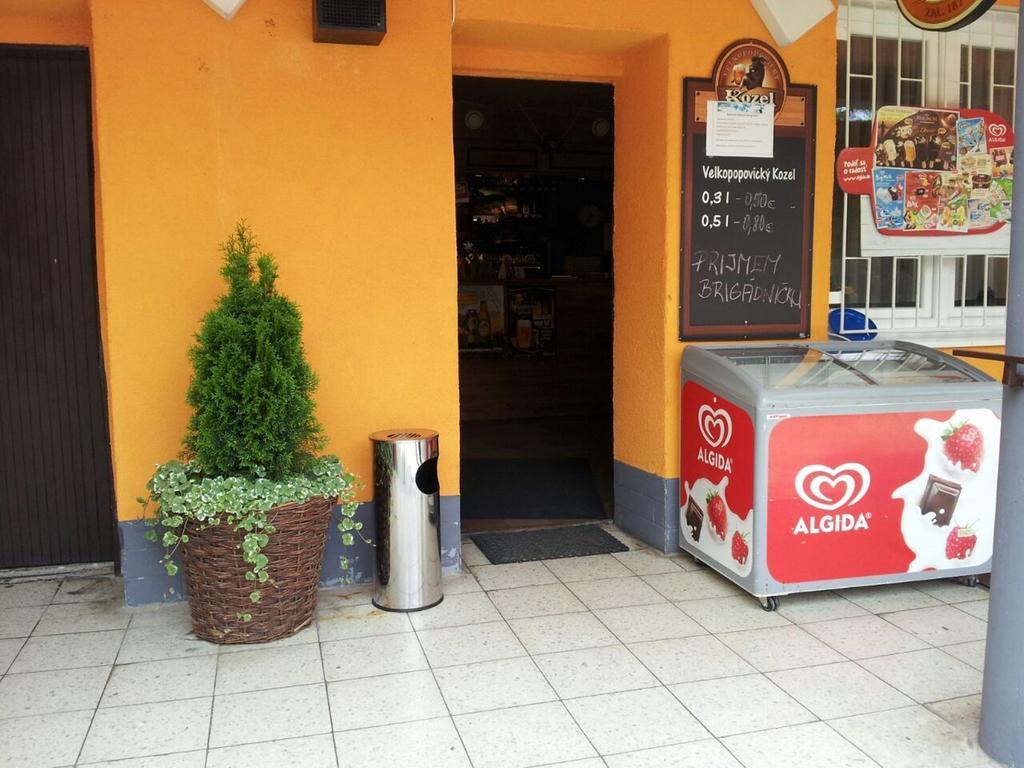 Guesthouse Zuzana Spacince エクステリア 写真