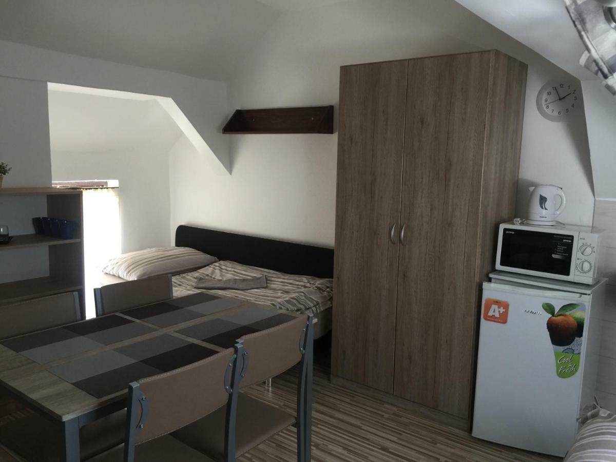 Guesthouse Zuzana Spacince エクステリア 写真