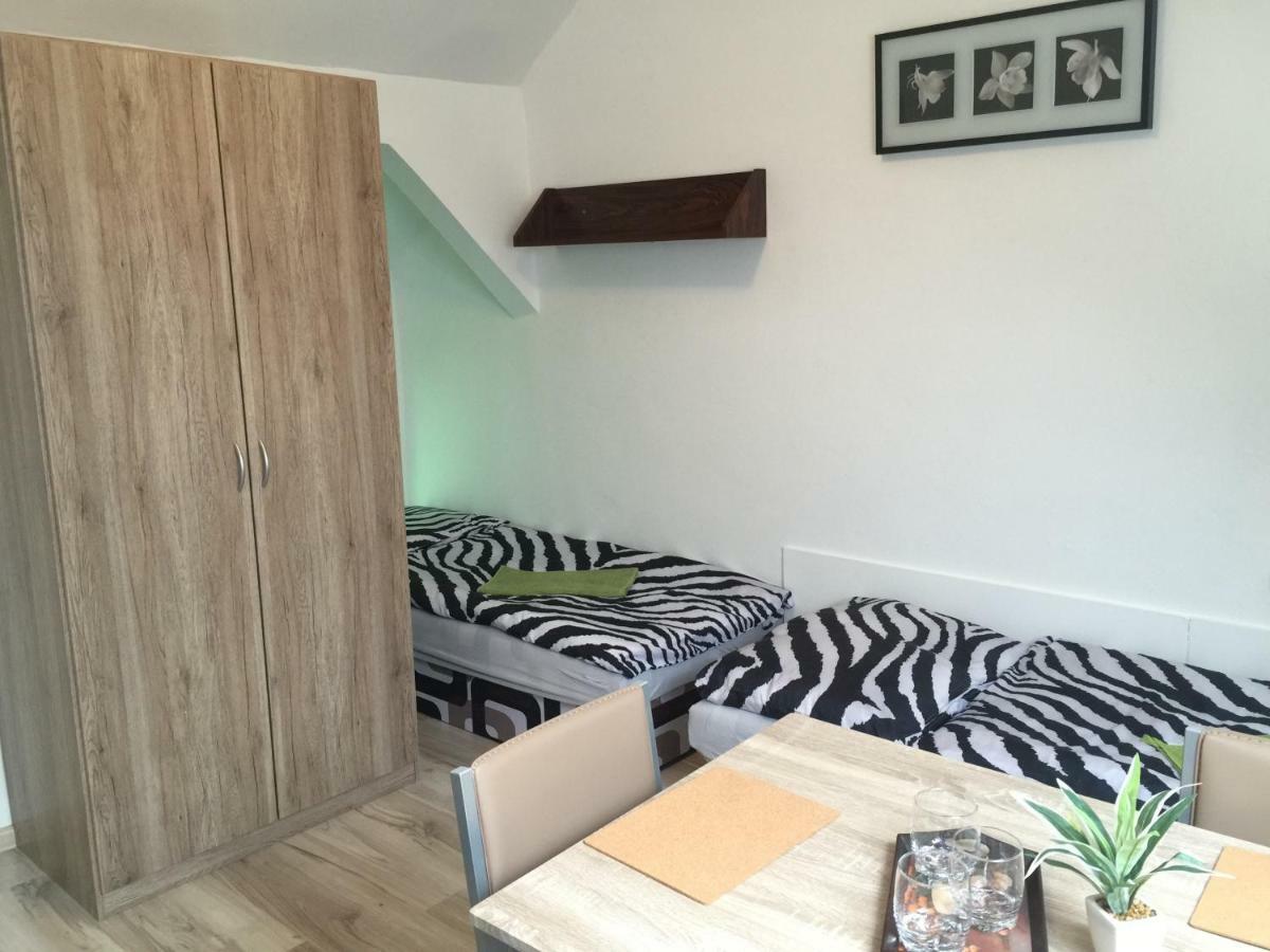 Guesthouse Zuzana Spacince エクステリア 写真